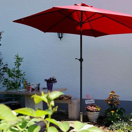 Ferienappartement Donautal Obernzell 外观 照片