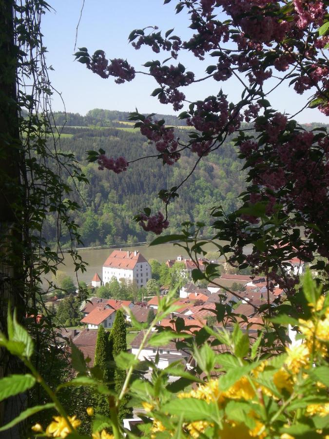 Ferienappartement Donautal Obernzell 外观 照片